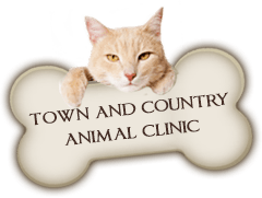 Town and Country Animal Clinic Home